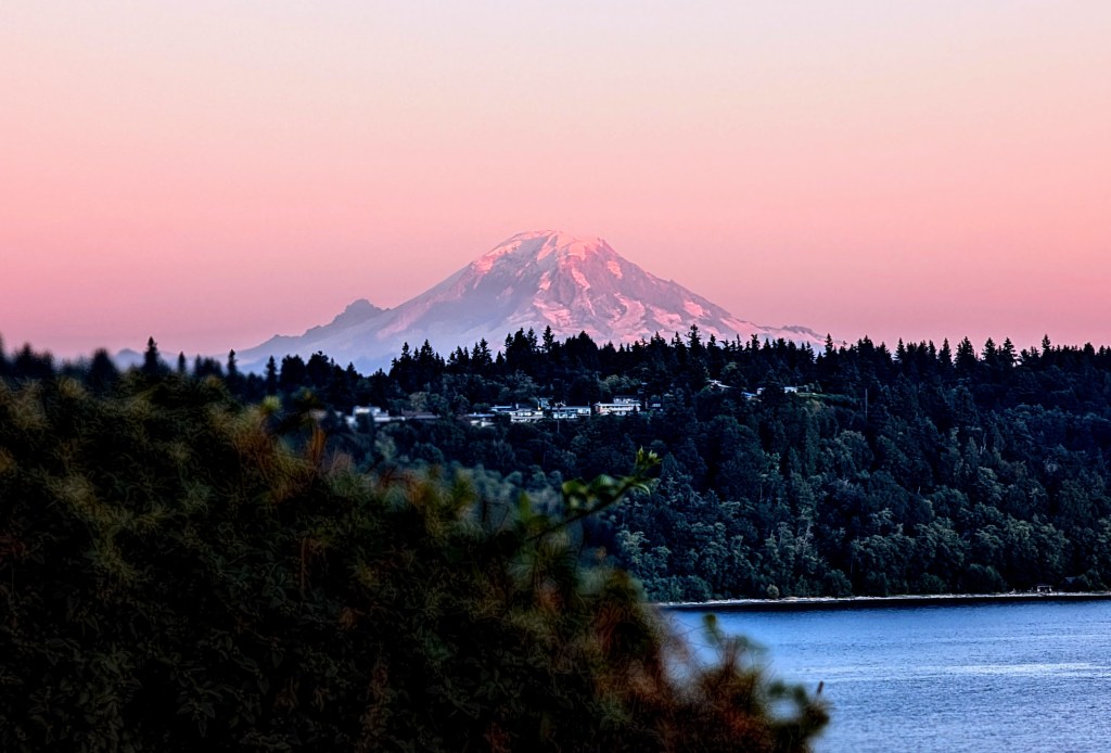 Alki Bakeries and the Race to World&nbsp;First!
