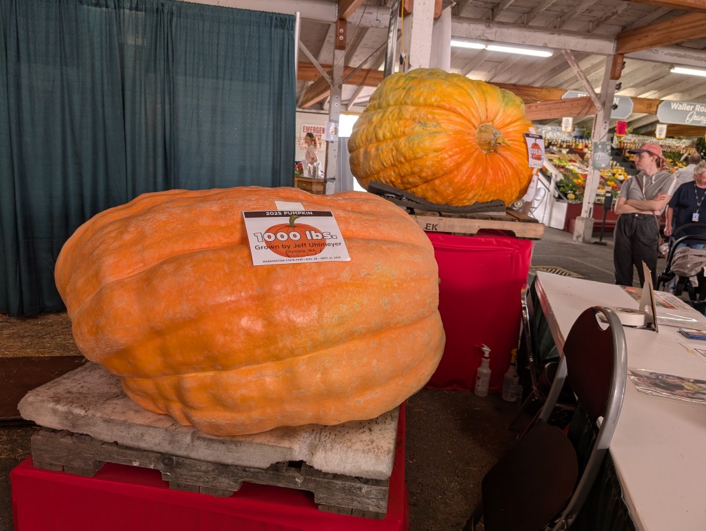The Puyallup! (Washington State&nbsp;Fair)
