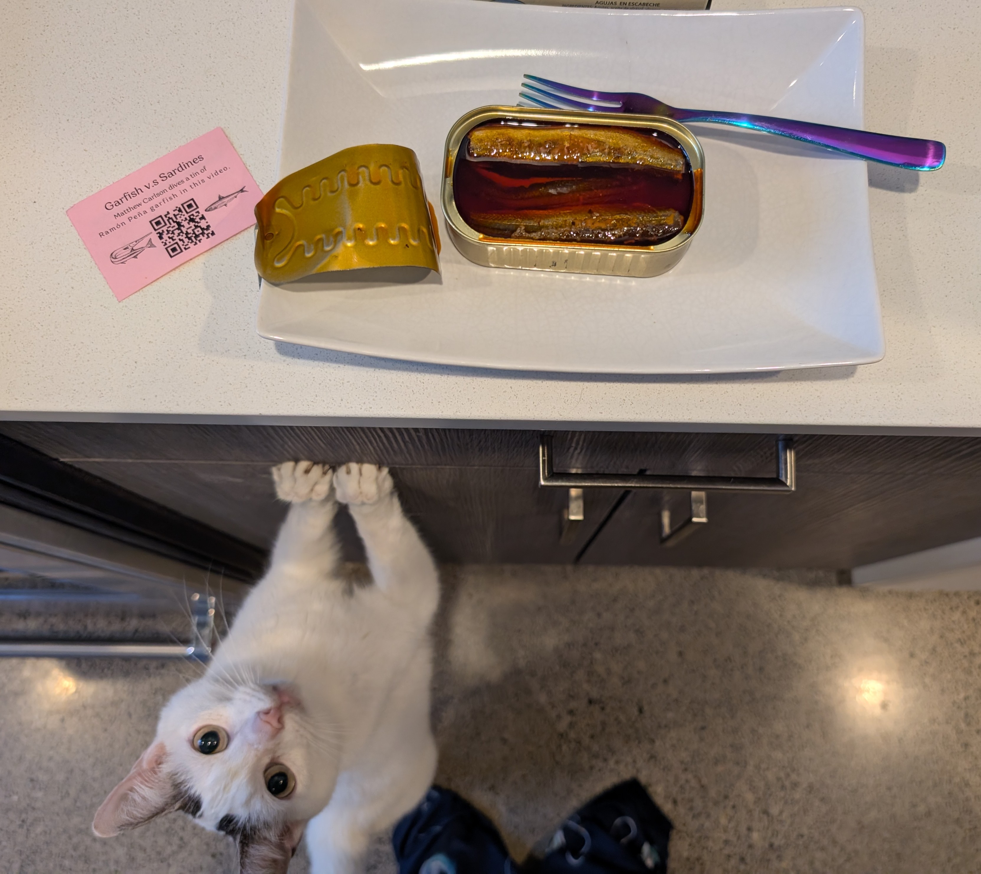 Tinned Fish Saga- Pt.&nbsp;2!