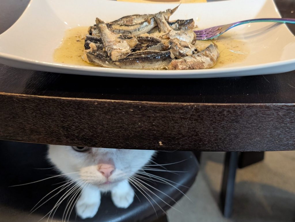 Tinned Fish Saga- Pt. 3!